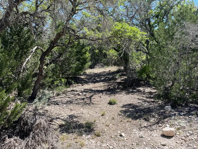 a view of a yard with plants and trees