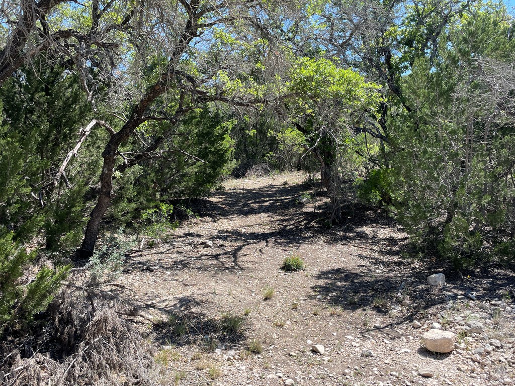 0 Cr 450 Rocksprings Tx 78880 Rocksprings, TX 78880 - Photo 20 of 34