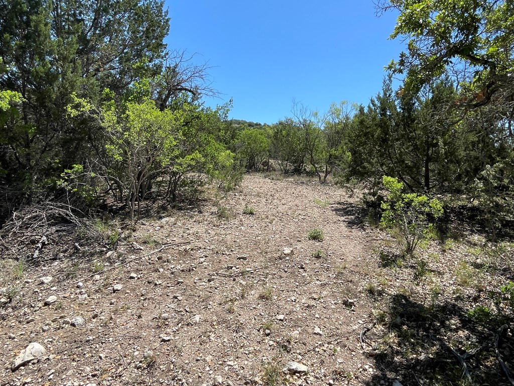 0 Cr 450 Rocksprings Tx 78880 Rocksprings, TX 78880 - Photo 22 of 34