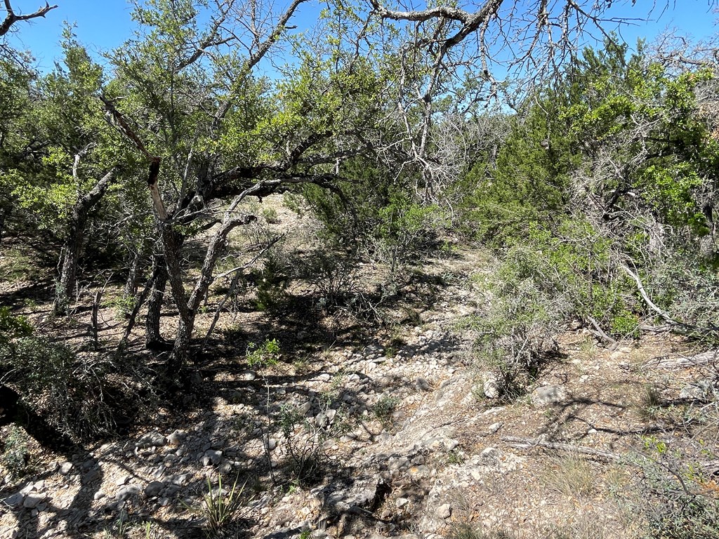 0 Cr 450 Rocksprings Tx 78880 Rocksprings, TX 78880 - Photo 24 of 34