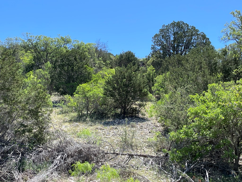 0 Cr 450 Rocksprings Tx 78880 Rocksprings, TX 78880 - Photo 26 of 34