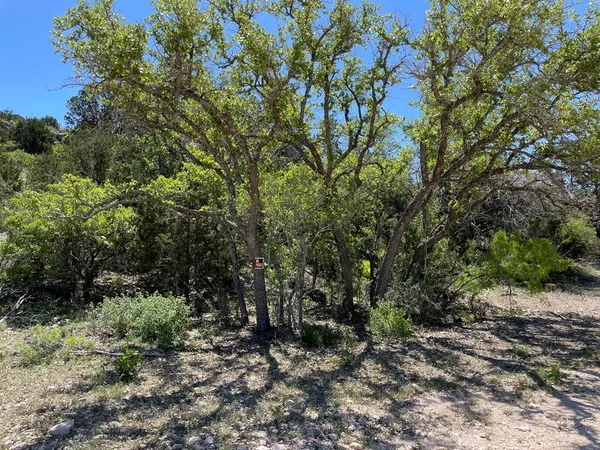 $120,000 | 0 Cr 450 Rocksprings Tx 78880, Rocksprings, TX 78880