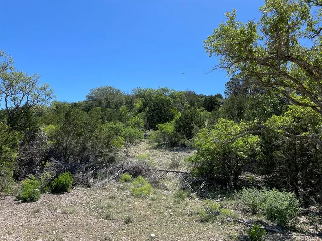 a view of a dry yard with a mountain