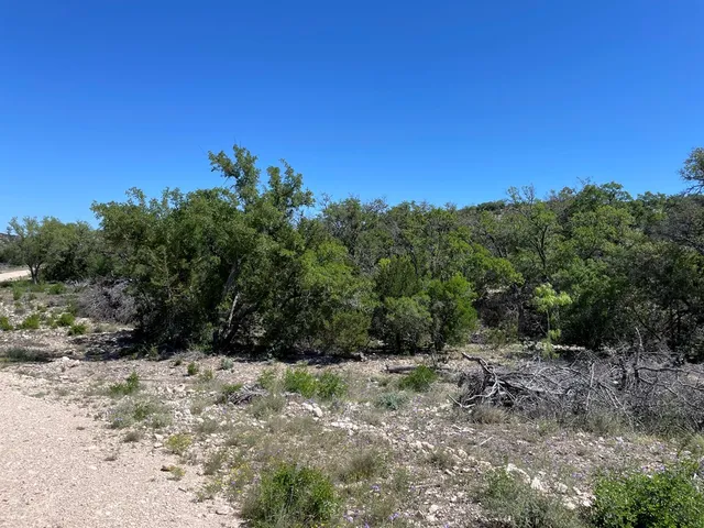 a view of a yard with a tree
