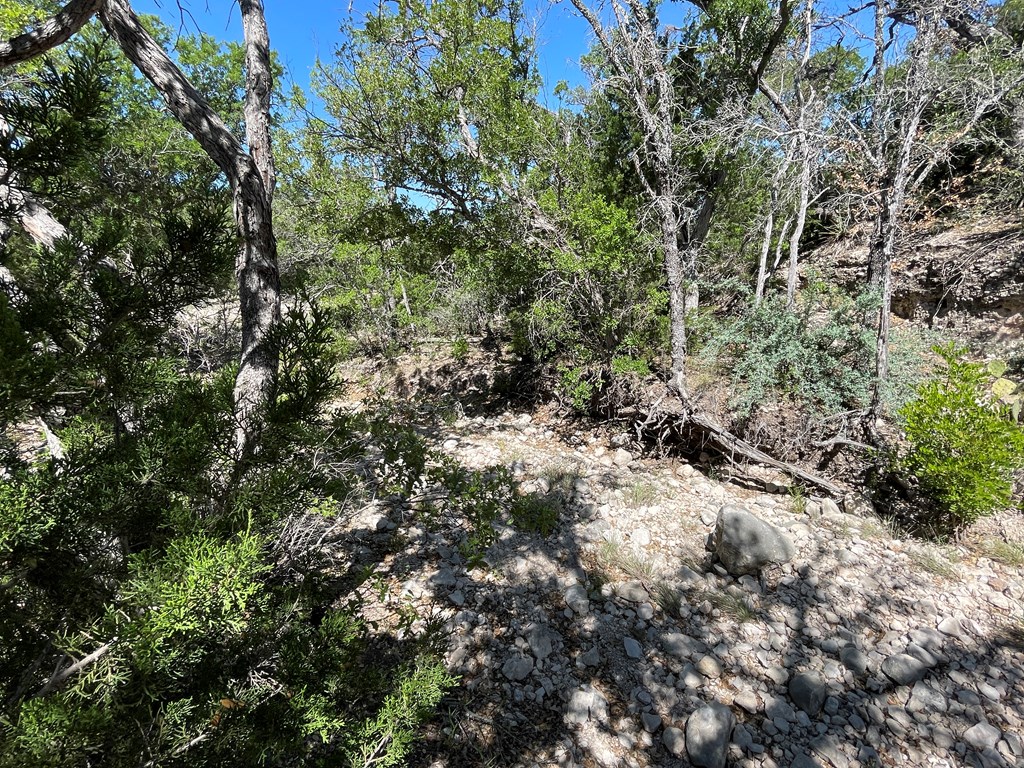 0 Cr 450 Rocksprings Tx 78880 Rocksprings, TX 78880 - Photo 6 of 34