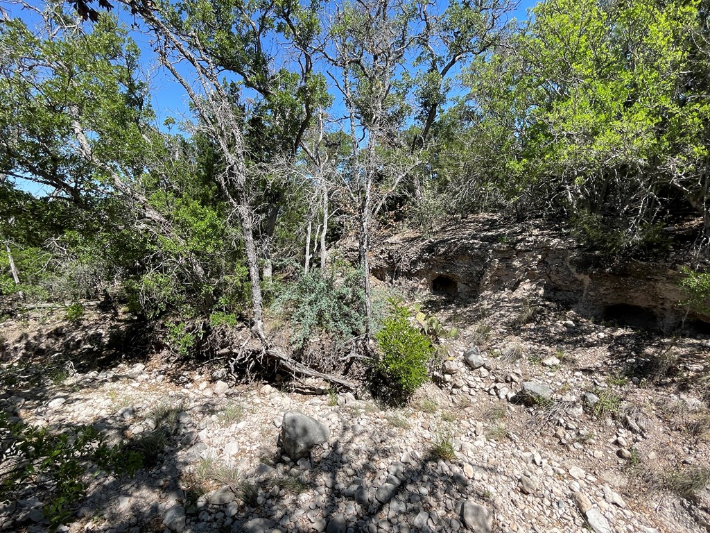 0 Cr 450 Rocksprings Tx 78880 Rocksprings, TX 78880 - Photo 7 of 34