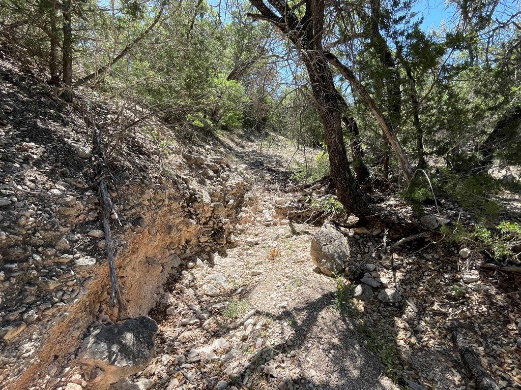 0 Cr 450 Rocksprings Tx 78880 Rocksprings, TX 78880 - Photo 9 of 34