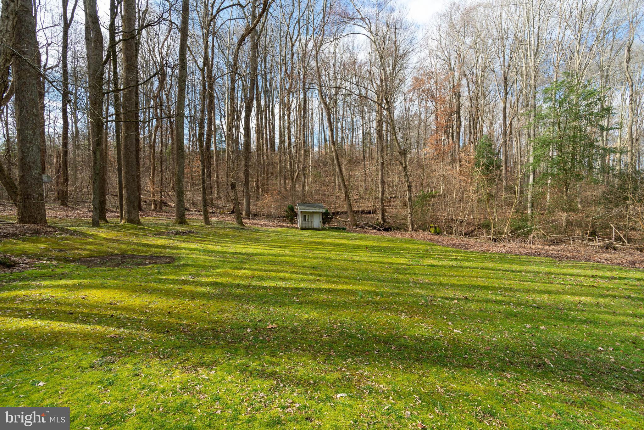9475 Trinity Church Road Charlotte Hall, MD 20622 - Photo 38 of 40 Gallery Image 38