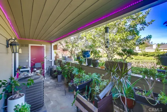 a street view with tall buildings