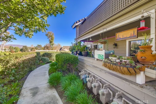 a view of a house with potted plants and a large tree