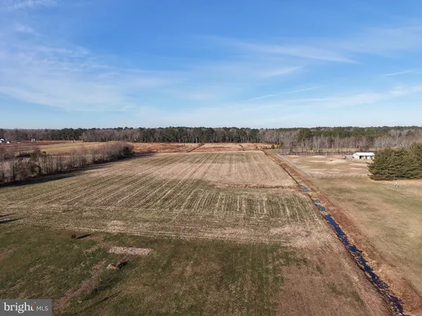 a view of a field with an trees