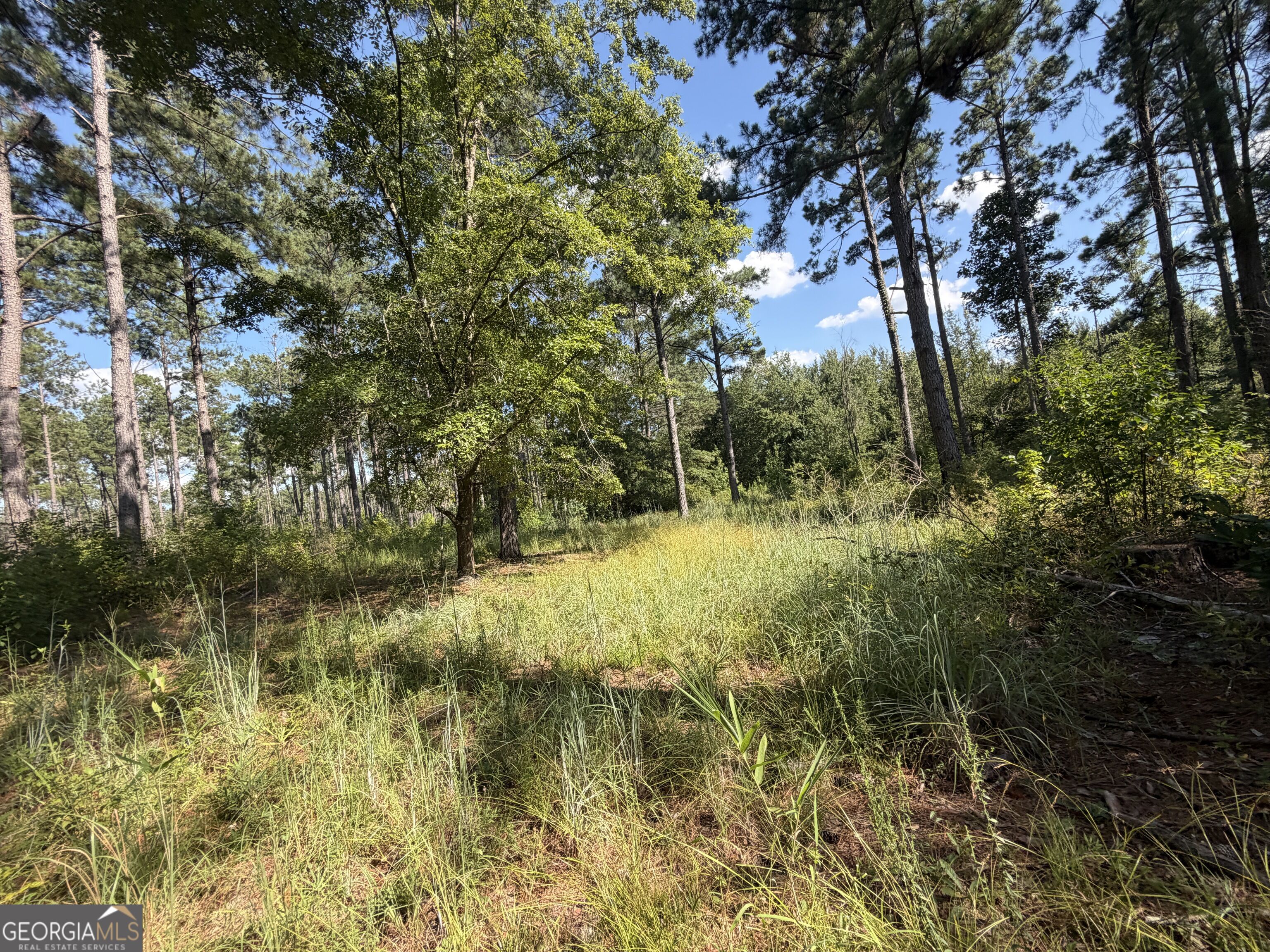 7 Sunhill Grange Road Sandersville, GA 31018 - Photo 28 of 33 Gallery Image 28
