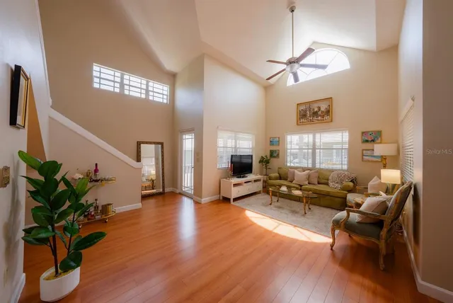 a living room with furniture potted plant and a window