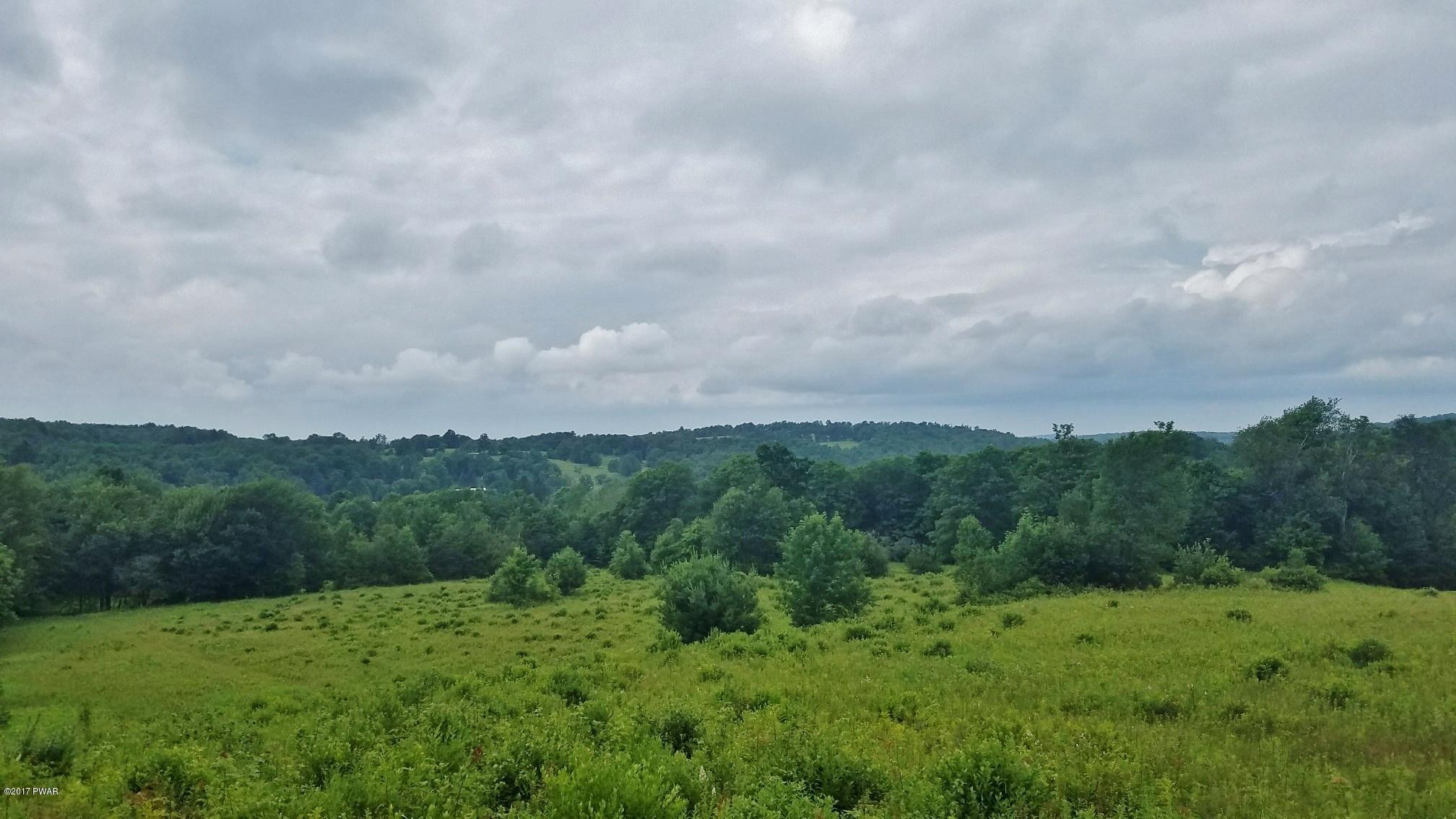 2911 Wrighter Lake Road Thompson, PA 18465 - Photo 2 of 7