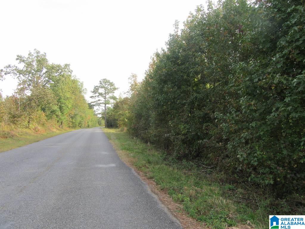 0 Paul Bear Bryant Road Alpine, AL 35014 - Photo 8 of 8