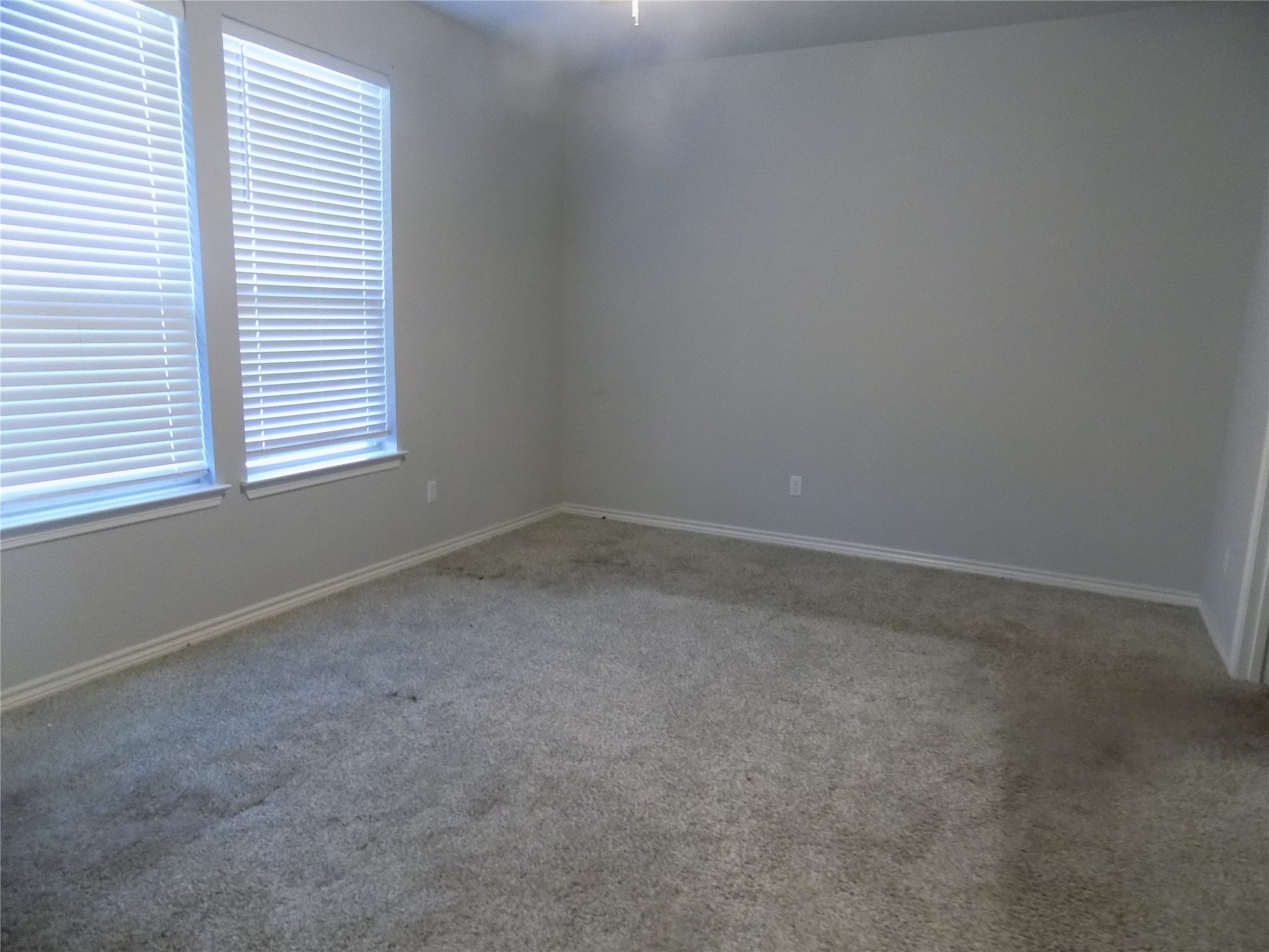 1133 Capra Lane Leander, TX 78641 - Photo 21 of 25 This expansive room features plush carpeting and abundant natural light, offering a versatile living space.