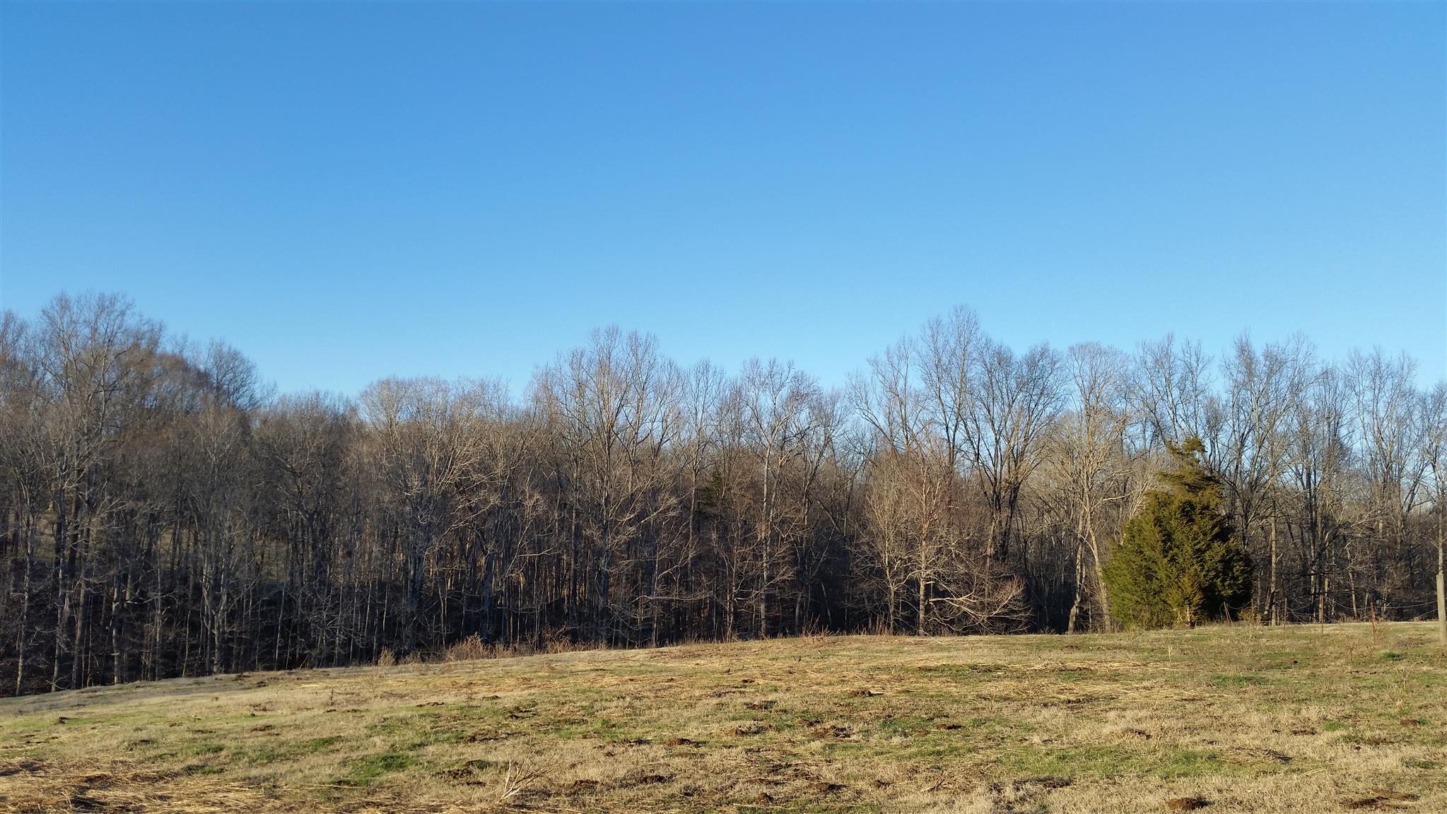 3 Hunting Camp Road Fairview, TN 37062 - Photo 1 of 3 a view of large yard