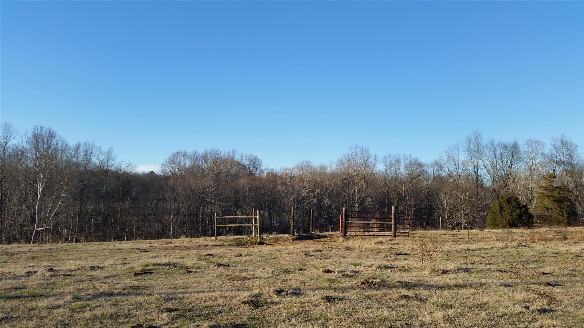 3 Hunting Camp Road Fairview, TN 37062 - Photo 2 of 3 a view of dirt yard with trees