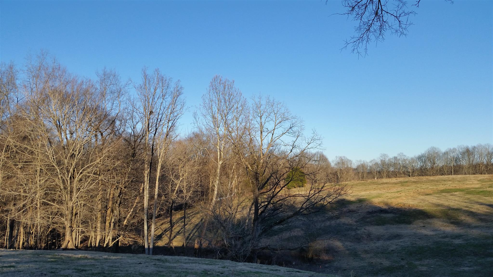 3 Hunting Camp Road Fairview, TN 37062 - Photo 3 of 3 a view of a yard with an outdoor space and seating
