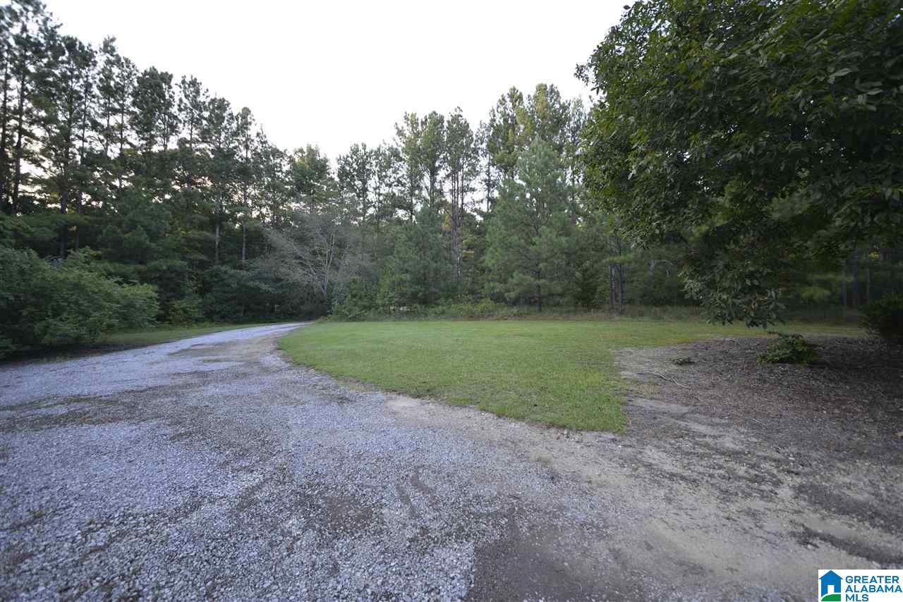 1980 Roy Webb Cutoff Road Piedmont, AL 36272 - Photo 39 of 47