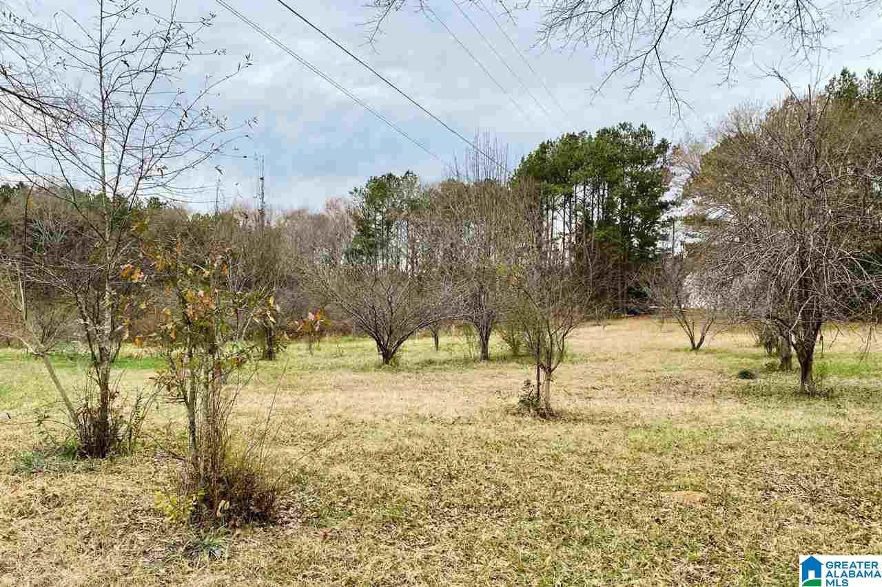 885 County Line Road West, Unit 11 ACRES Eastaboga, AL 36260 - Photo 10 of 17