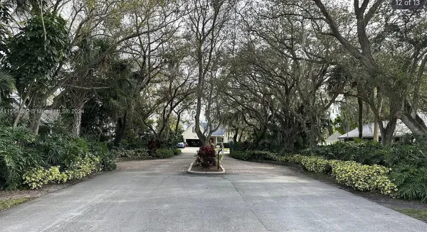 a view of a park with plants and trees