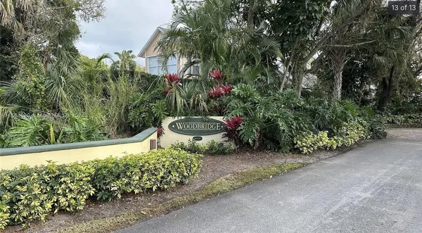 a garden view with a pond
