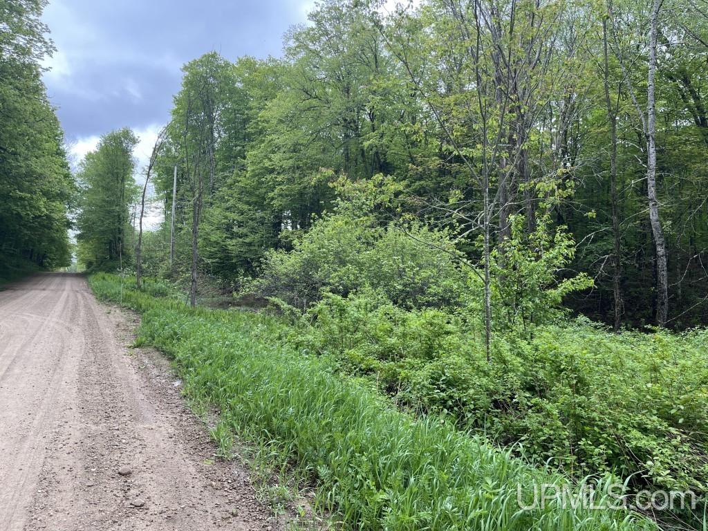Tbd Tbd 26th Road Chatham, MI 49816 - Photo 5 of 15
