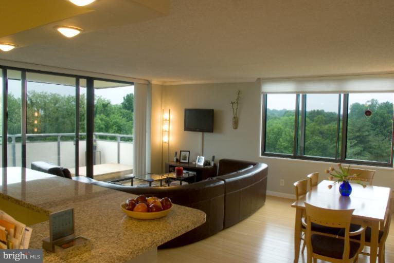 5225 Pooks Hill Road, Unit 828S Bethesda, MD 20814 - Photo 3 of 17 Living Room