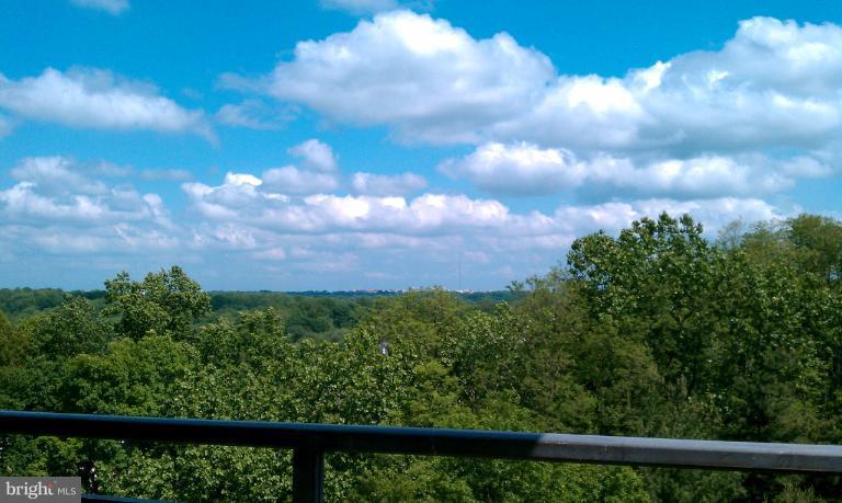 5225 Pooks Hill Road, Unit 828S Bethesda, MD 20814 - Photo 6 of 17 View