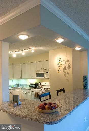 5225 Pooks Hill Road, Unit 828S Bethesda, MD 20814 - Photo 8 of 17 Kitchen