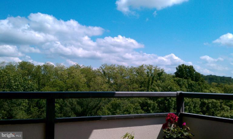 5225 Pooks Hill Road, Unit 828S Bethesda, MD 20814 - Photo 9 of 17 View