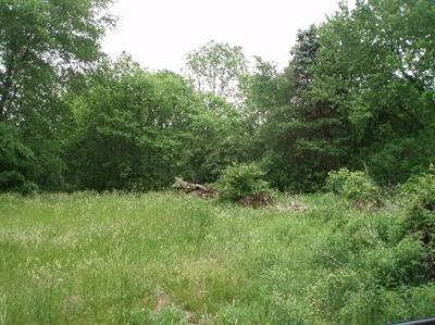 320 Geiger Road Niles, MI 49120 - Photo 4 of 4 Additional Photo