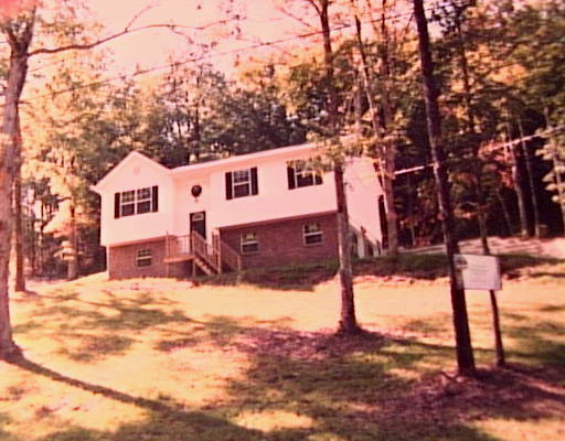Primary Photo