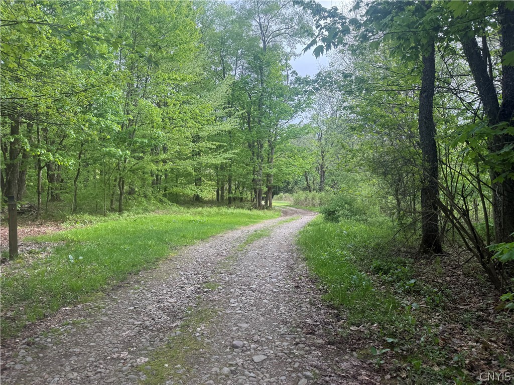 Lot #9 Lost Ridge Road, Unit 9 Camden, NY 13316 - Photo 16 of 27