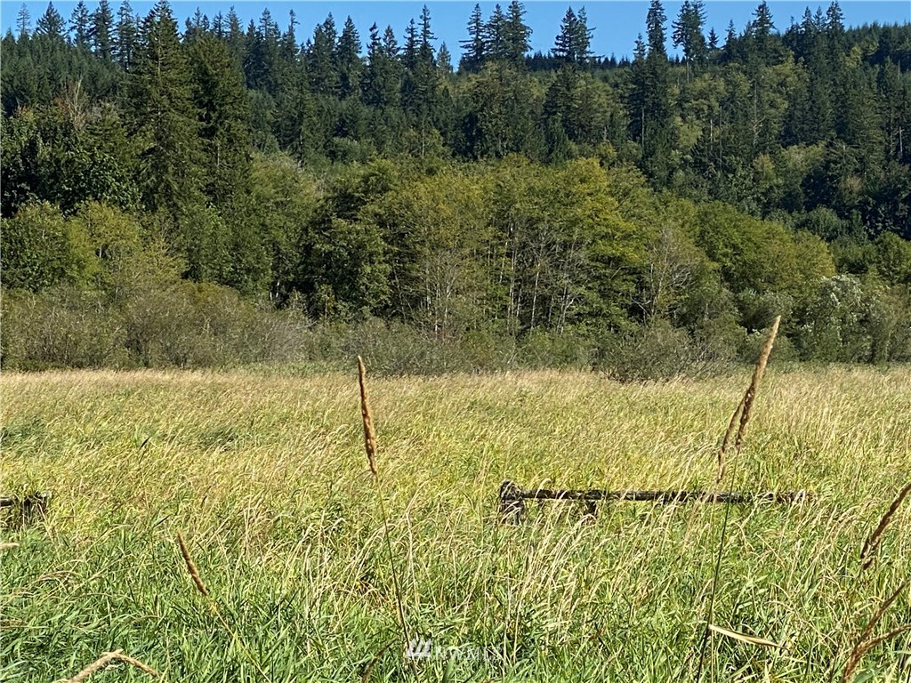 212 Lake View Drive Quilcene, WA 98376 - Photo 6 of 8 a view of a yard