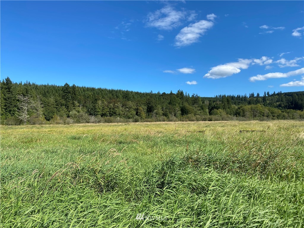 212 Lake View Drive Quilcene, WA 98376 - Photo 7 of 8 a view of a field with a tree in the background