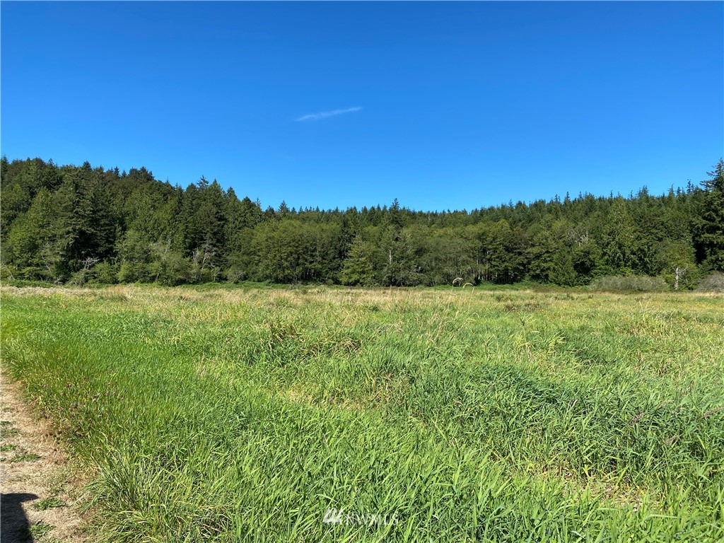 212 Lake View Drive Quilcene, WA 98376 - Photo 8 of 8 a view of a field with a tree in the background