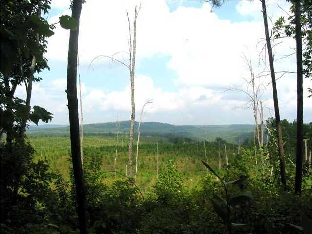2093 Meadow Lark Road Dunlap, TN 37327 - Photo 2 of 12 Additional Photo