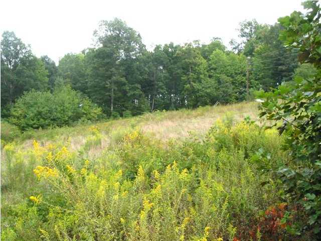 2093 Meadow Lark Road Dunlap, TN 37327 - Photo 3 of 12 Additional Photo