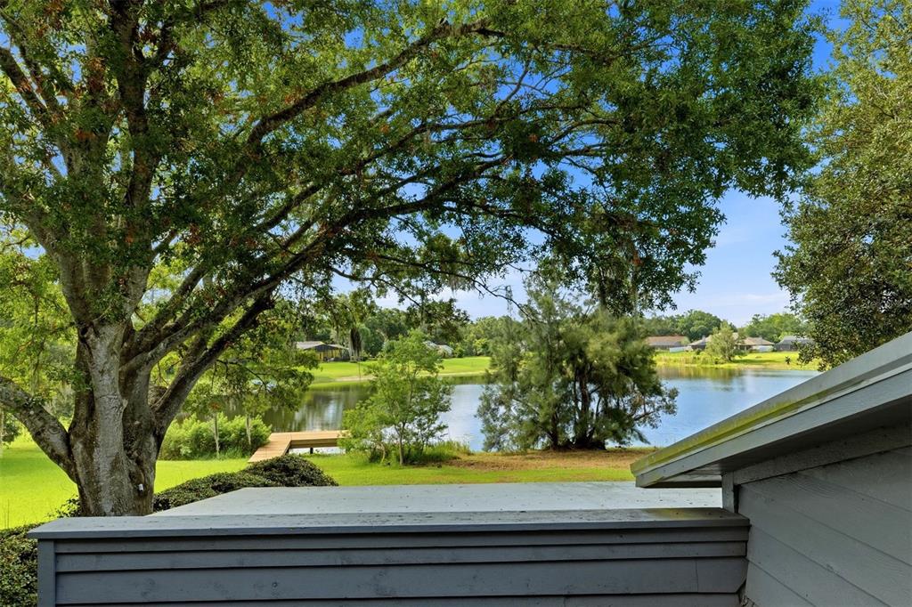 708 Warren Road Lutz, FL 33548 - Photo 55 of 65