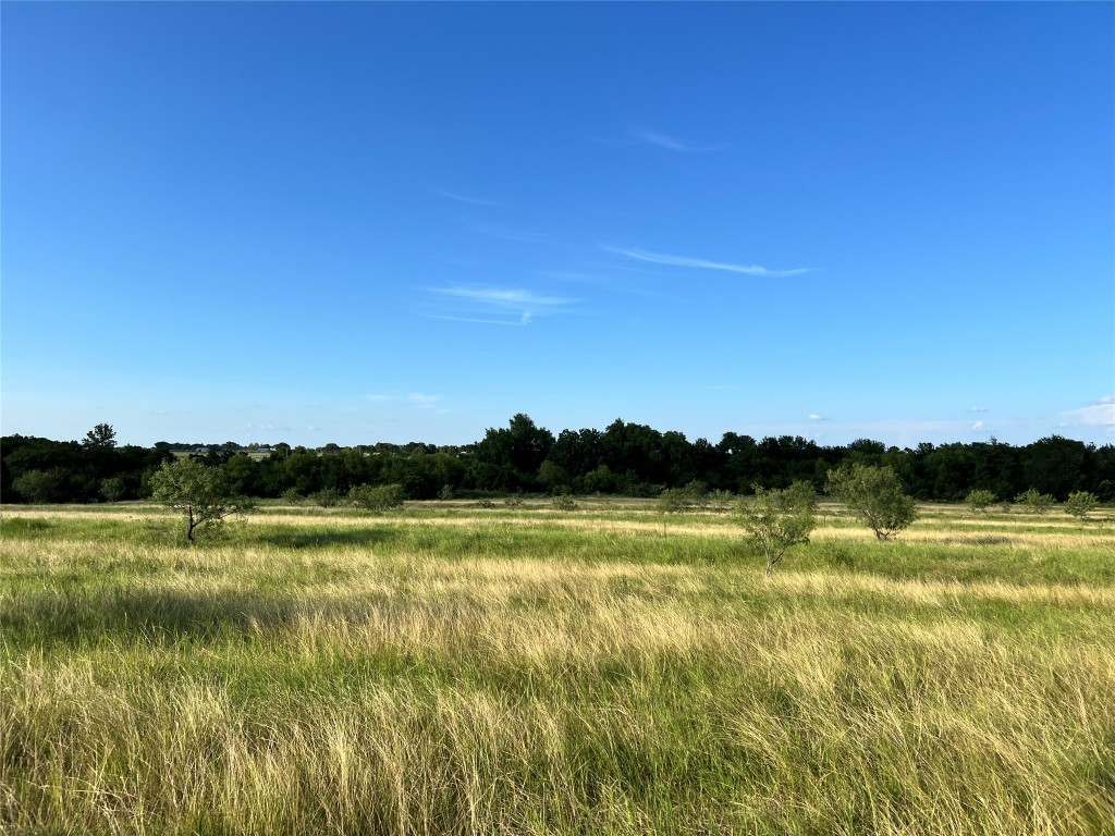 7875 Pecan Road Troy, TX 76579 - Photo 1 of 1 Gallery Image 1