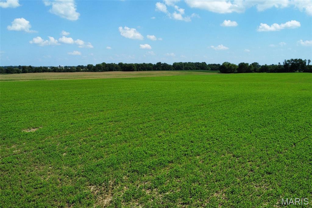 0 Trio Lane Edwardsville, IL 62025 - Photo 2 of 11