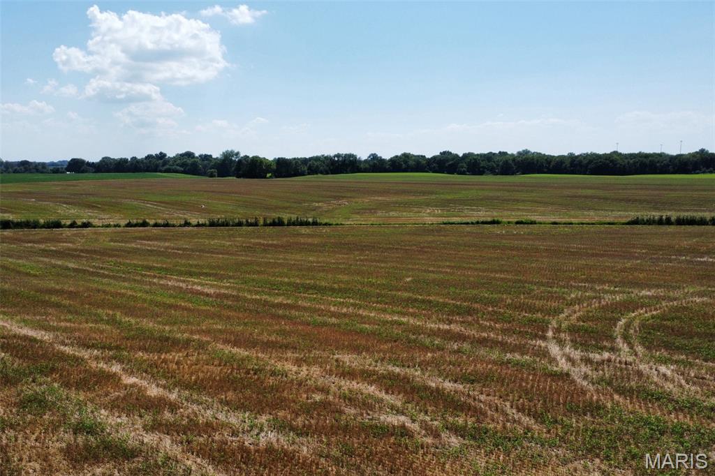 0 Trio Lane Edwardsville, IL 62025 - Photo 3 of 11