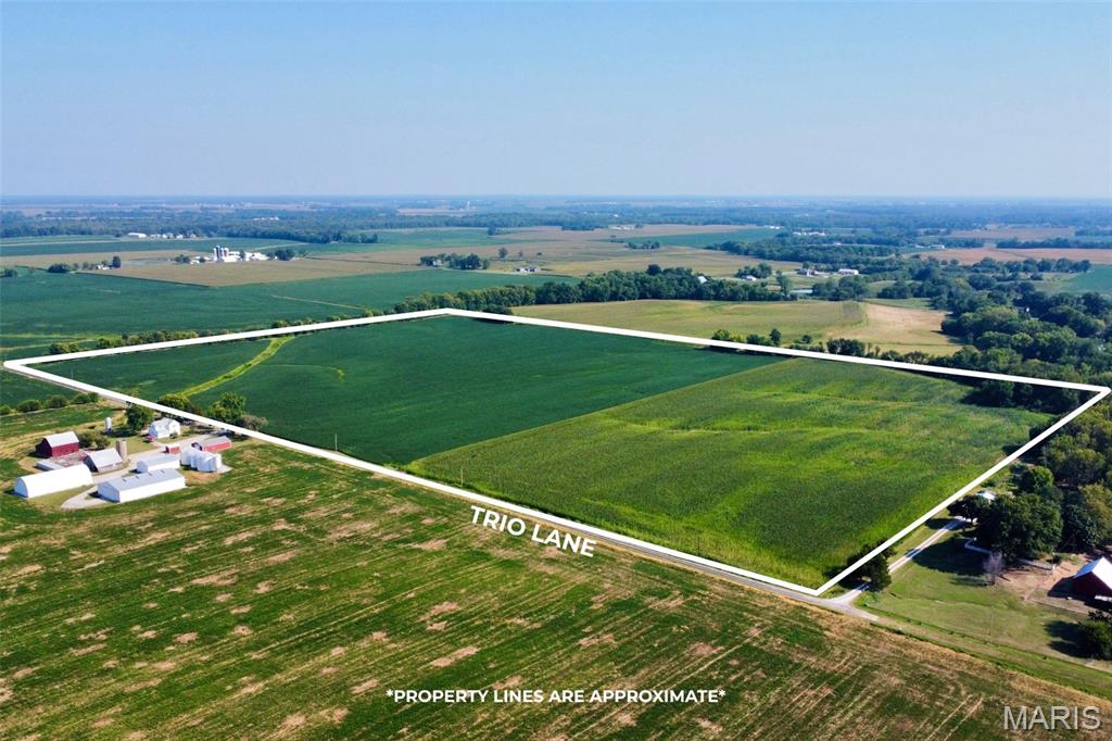 0 Trio Lane Edwardsville, IL 62025 - Photo 4 of 11