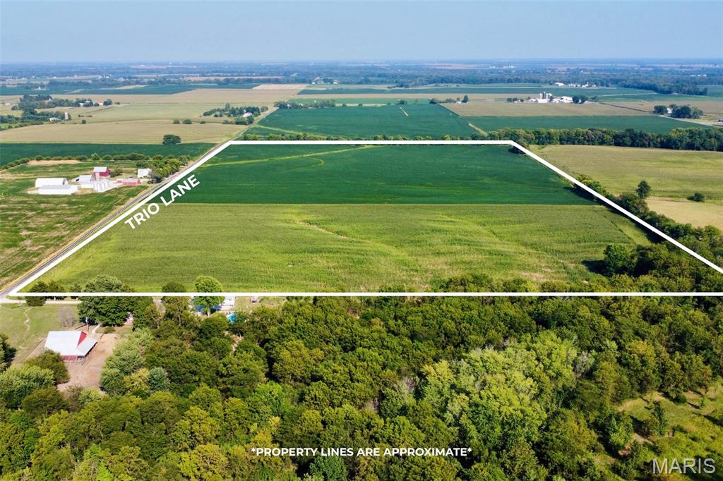 0 Trio Lane Edwardsville, IL 62025 - Photo 5 of 11