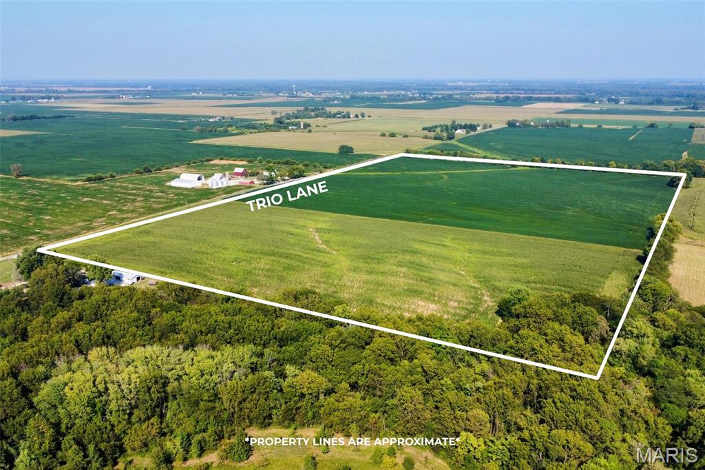 0 Trio Lane Edwardsville, IL 62025 - Photo 6 of 11