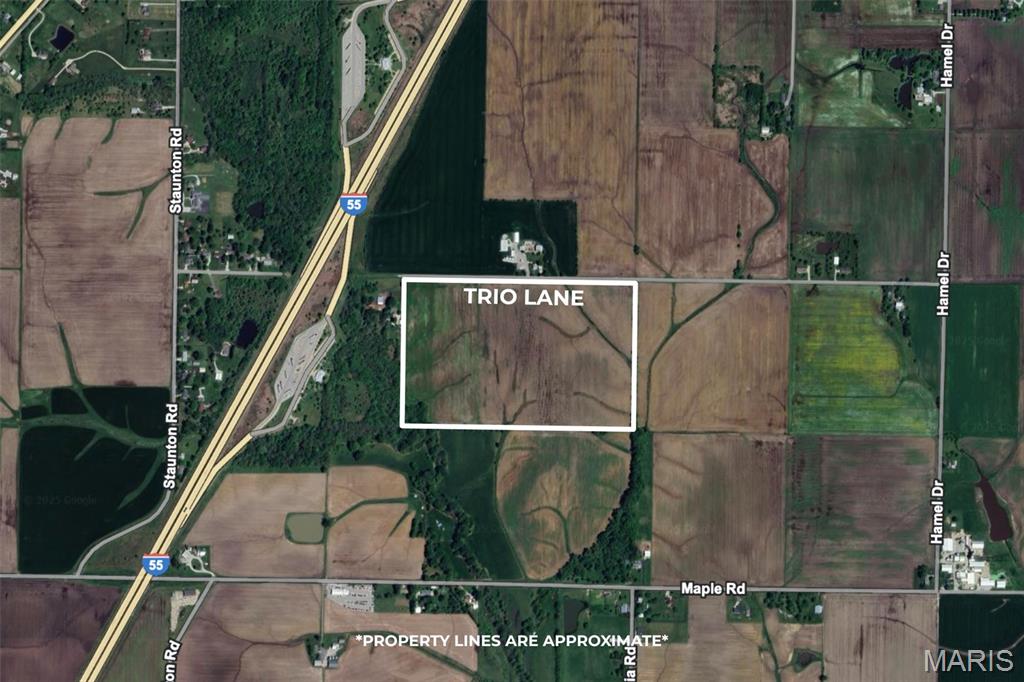 0 Trio Lane Edwardsville, IL 62025 - Photo 9 of 11