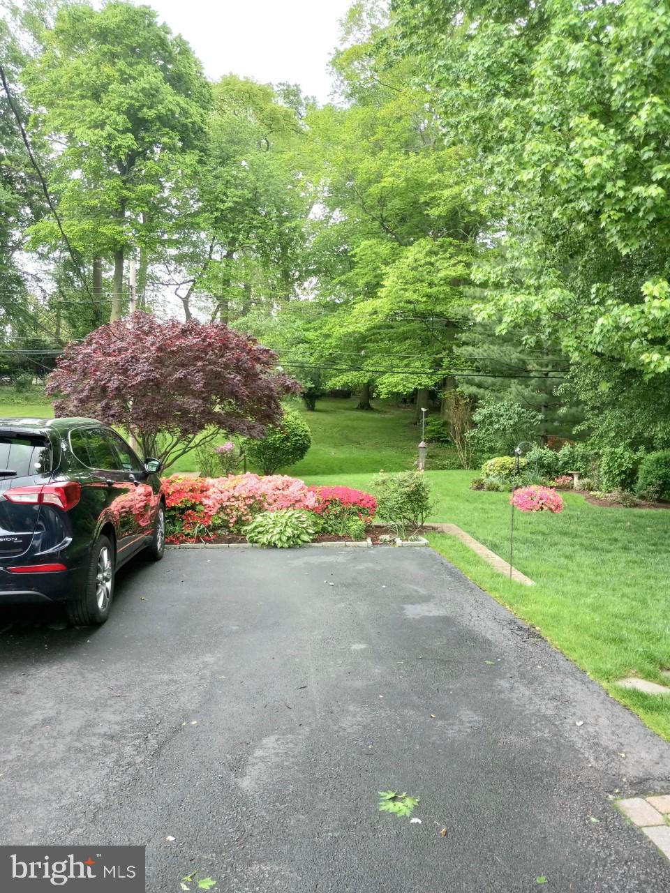 539 Evans Road Springfield, PA 19064 - Photo 3 of 3 Yard