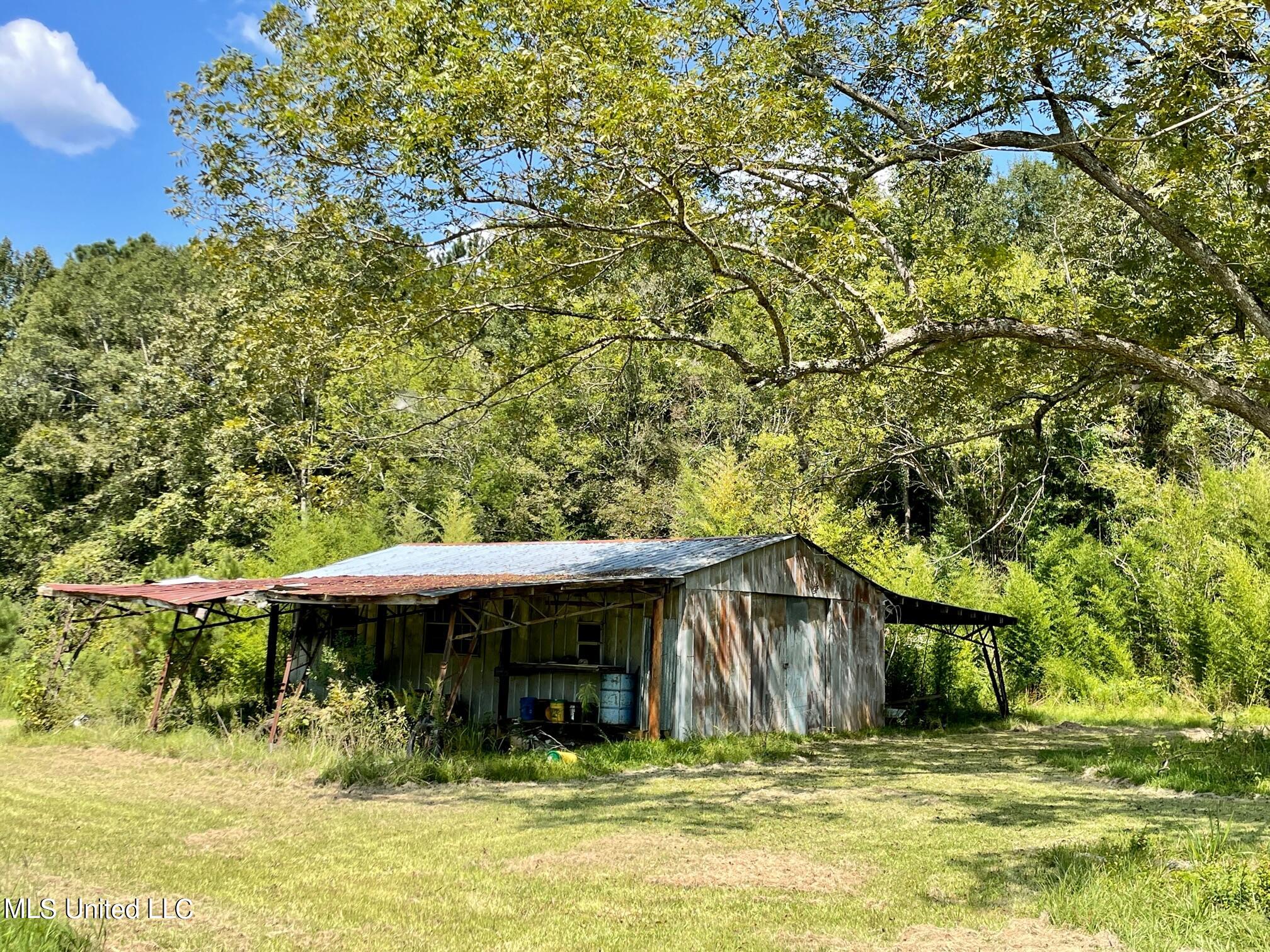283 Craig Road Lena, MS 39094 - Photo 35 of 40 IMG_2415